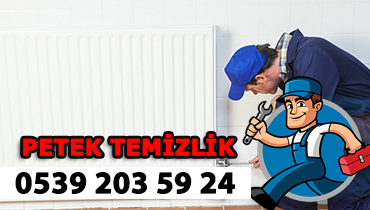 Petek Temizlik